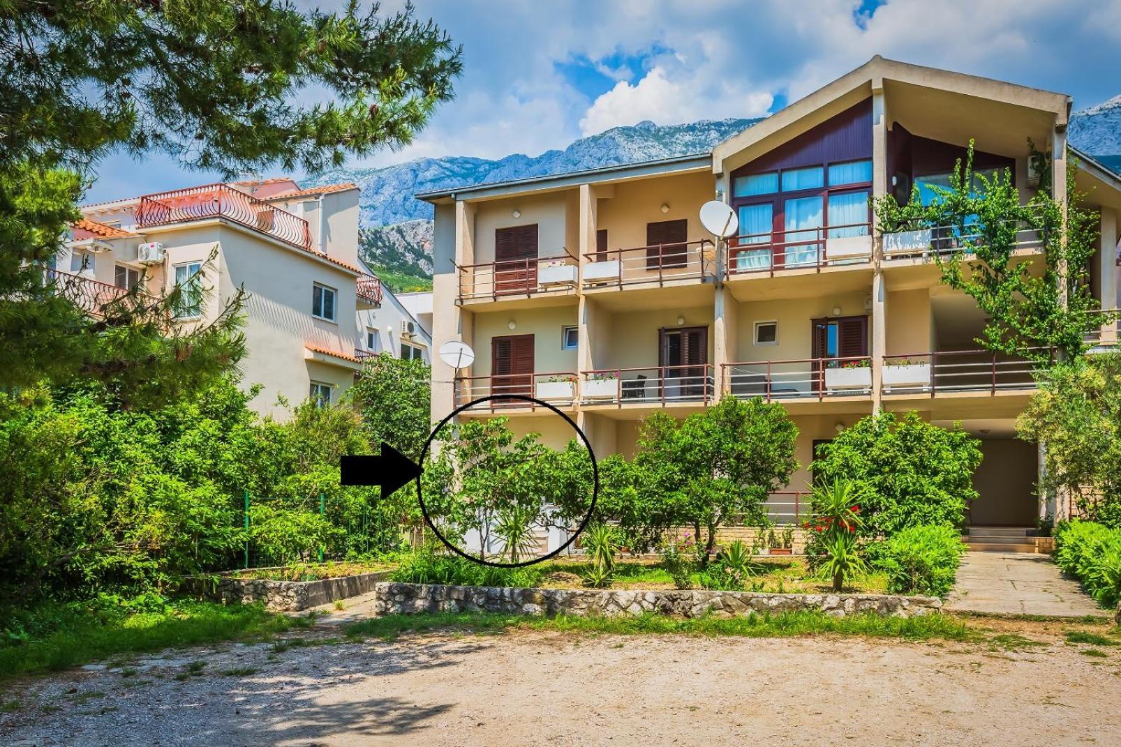 Apartments Agneza Tučepi Exteriör bild